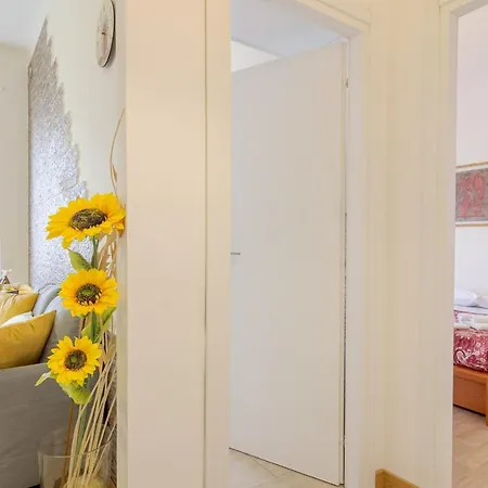 Cenisia District : Bright Sunflower Mini Flat *